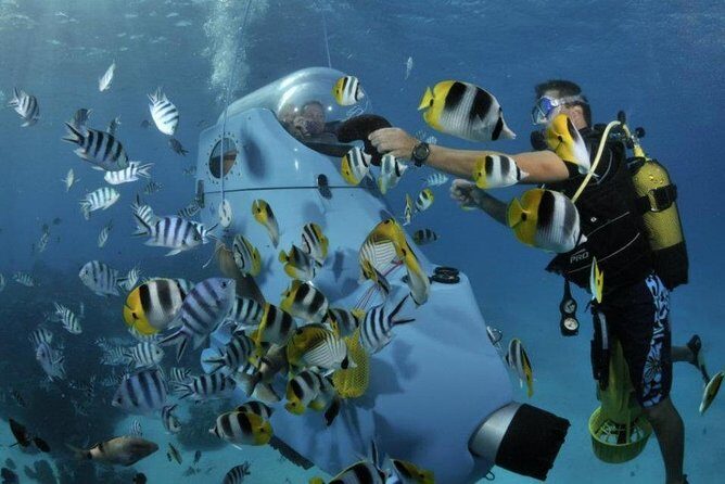 Underwater Scooter - How Does It Compare?