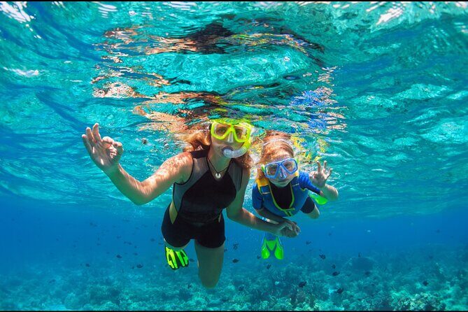 Underwater Sculpture Park Snorkel Adventure - An In-Depth Look at What to Expect