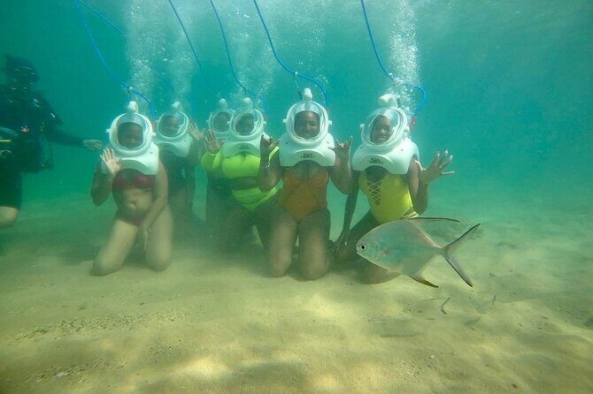 Underwater Sea Trek in San Juan: Explore Beneath the Waves - Who Is This Tour Best For?