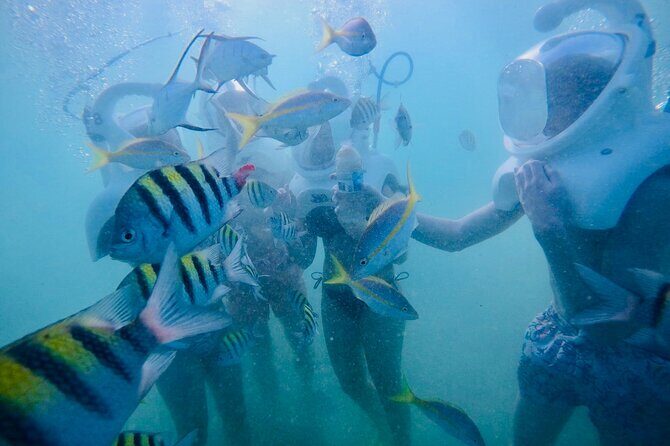 Underwater Sea Trek in San Juan: Explore Beneath the Waves - Final Thoughts on Value and Experience