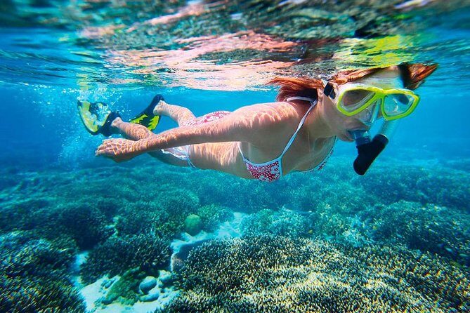 Underwater Snorkel Experience day in Cozumel with Transportation from Cancún - Who is This Tour Best Suited For?