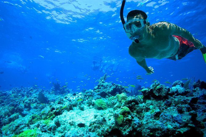 Underwater Snorkel Experience day in Cozumel with Transportation from Cancún - Frequently Asked Questions