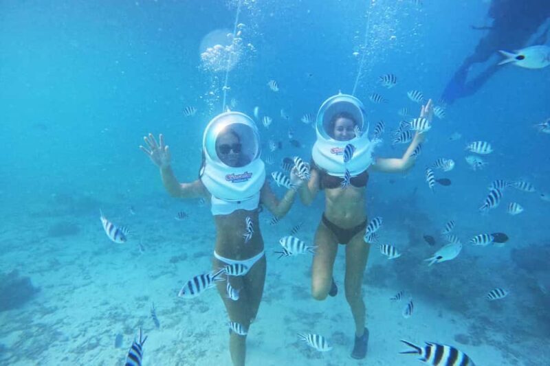 Underwater Walking Experience in Zanzibar,No Swimming Needed - Practical Details and Tips