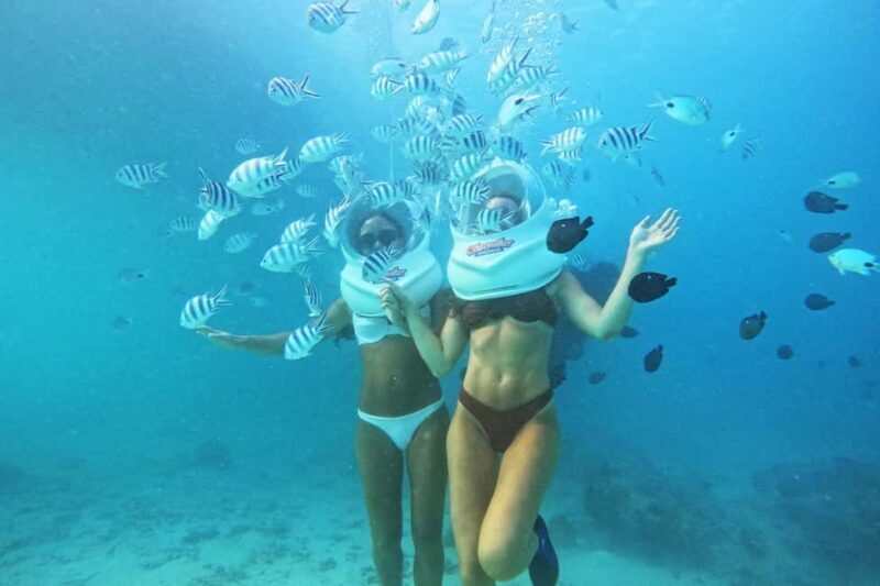 Underwater Walking Experience in Zanzibar,No Swimming Needed - The Sum Up