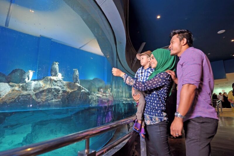 Underwater World Langkawi Admission Ticket - FAQs About Underwater World Langkawi