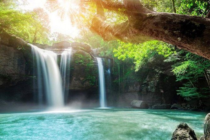 UNESCO Khao Yai National Park Adventure: Hiking & Waterfalls - Who Will Love This Tour?