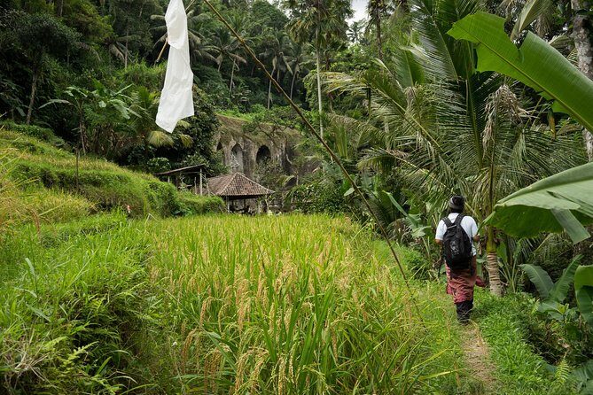 UNESCO Sites Cultural Walking Tour in Bali - A Close Look at the Tour Experience