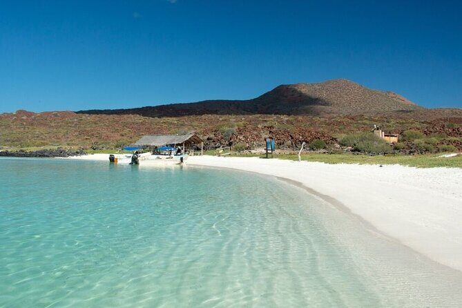 UNESCO World Heritage Site: 1 Day Coronado Island from Loreto Adventure - Lunch on the beach: Simple, fresh, and satisfying