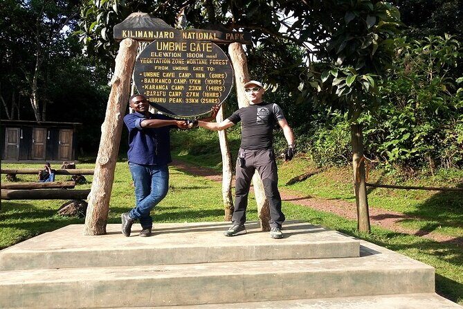 Unforgettable 8 Days Lemosho Route Trekking on Kilimanjaro - The Adventure Begins: From Rainforest to Glacier
