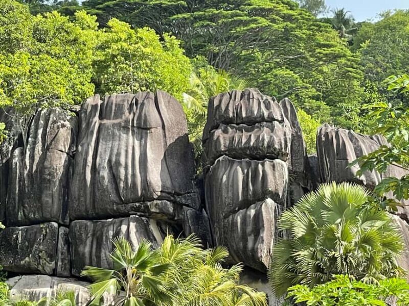 Unforgettable Full Day Mahe Island Tour - Final Thoughts