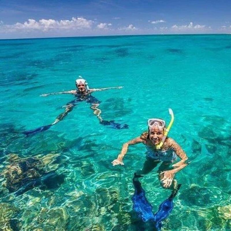 unforgettable full-day Safari Blue experience in Zanzibar, - What We Loved and What to Keep in Mind