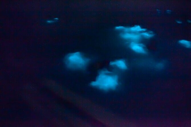 Unforgettable One Day Bioluminescent Kayak Adventure in Vieques - Final Thoughts
