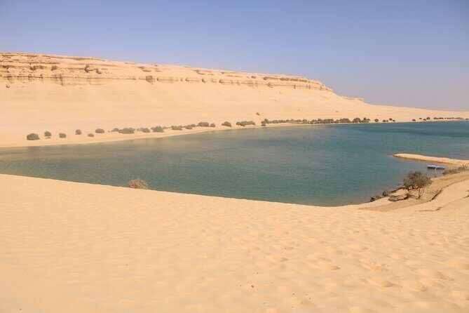 Unforgettable Private Tour to Wadi El Hitan and Tunis Beach - Detailed Review of the Tour Experience