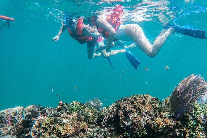 Unforgettable Snorkel Adventure in Cancun whit Transpotations - What Makes This Snorkeling Tour Stand Out?