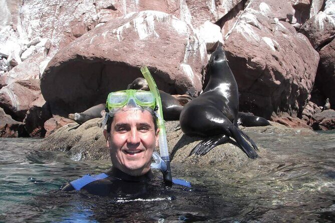 unforgettable snorkeling activity in The Sea of Cortes - The Snorkeling and Marine Life