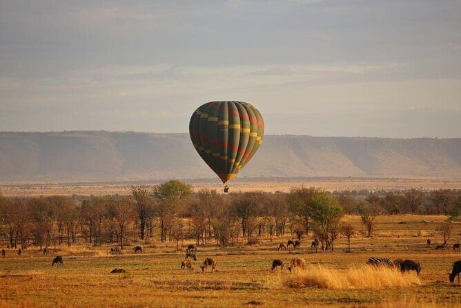 Unforgettable Tanzania Safari And Zanzibar Beach - Pricing and Value