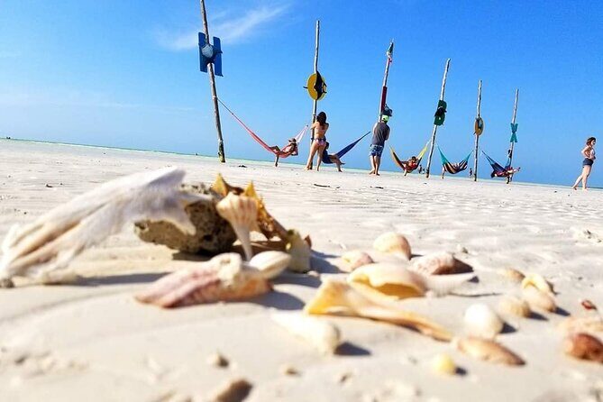 Unforgettable Tour Holbox 2 Islands & Cenote Yalahau from Cancún - A Closer Look at the Tour Experience