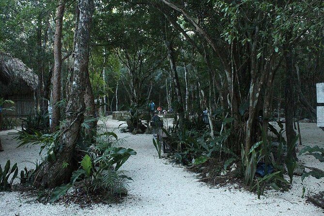 "Unforgettable Tulum Adventure: Ruins and Cenotes from cancun - Who Is This Tour Best For?