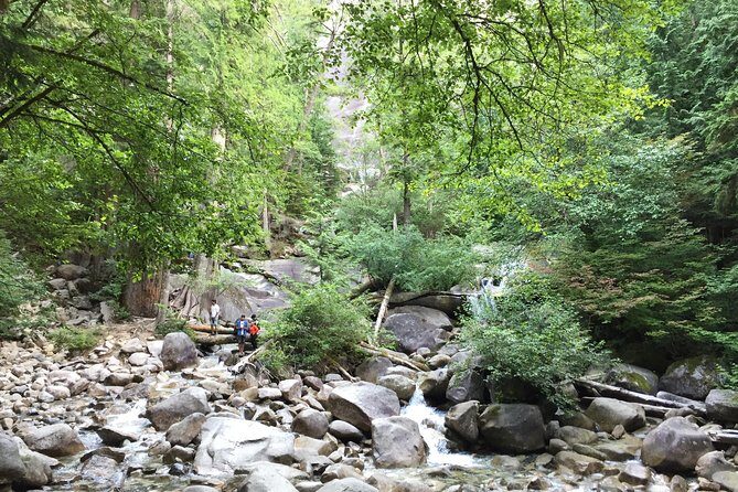 Unforgettable Whistler ( Full Day Private Tour) - Summary