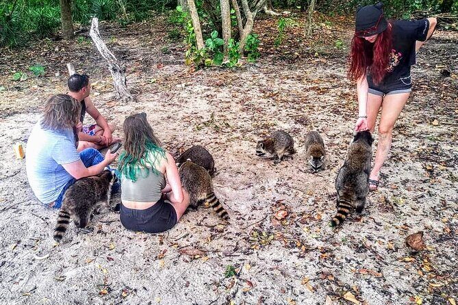 Unique 5 Hours-Boat Tour to Raccoon Island from Fort Lauderdale - What to Expect from the Tour