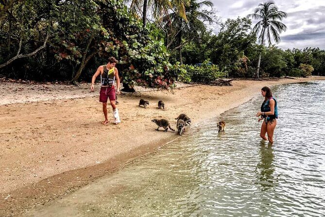 Unique 5 Hours-Boat Tour to Raccoon Island from Fort Lauderdale - The Sum Up