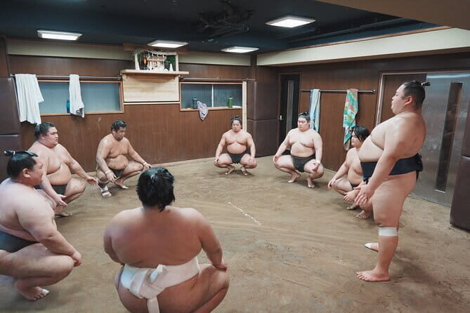 Unique Afternoon Live Sumo training tour in Tokyo - The Sum Up