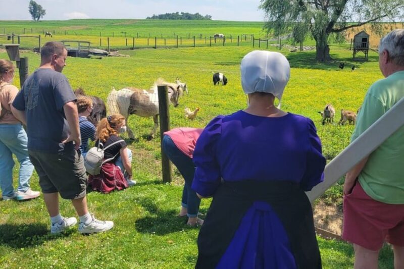 Unique Amish Immersion Experience - The Experience in Detail