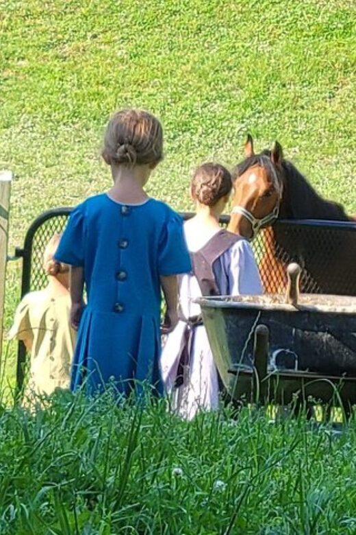 Unique Amish Immersion Experience - Final Thoughts
