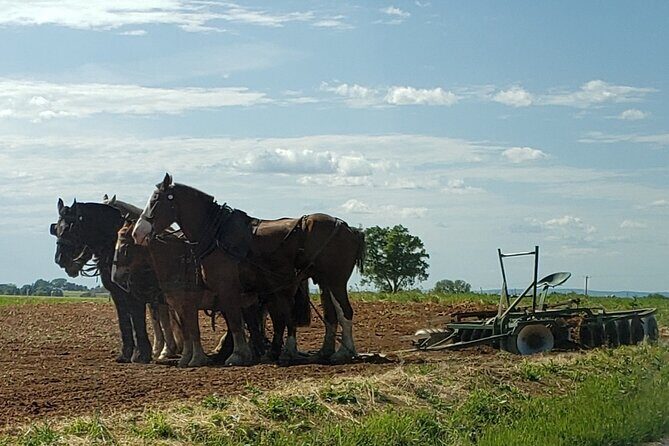 Unique Amish Immersion in Lancaster - Transportation, Group Size, and Practicalities