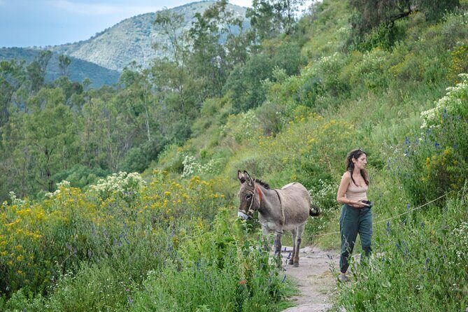 Unique cablecar experience, pulque tasting &unbeatable views - The Sum Up