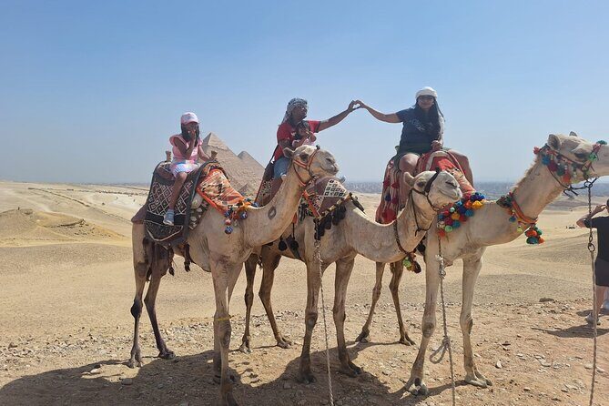 unique Egypt in 11 days all inclusive with Nile cruise - What Travelers Say