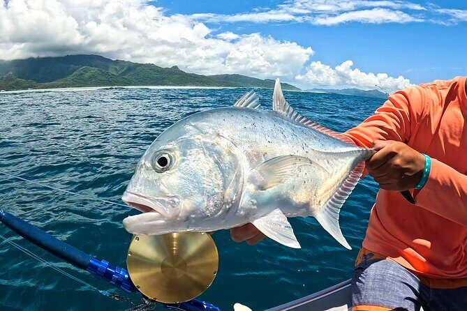 Unique in Raiatea: discover the lagoon, fish, cook, enjoy! - An Overview of What to Expect