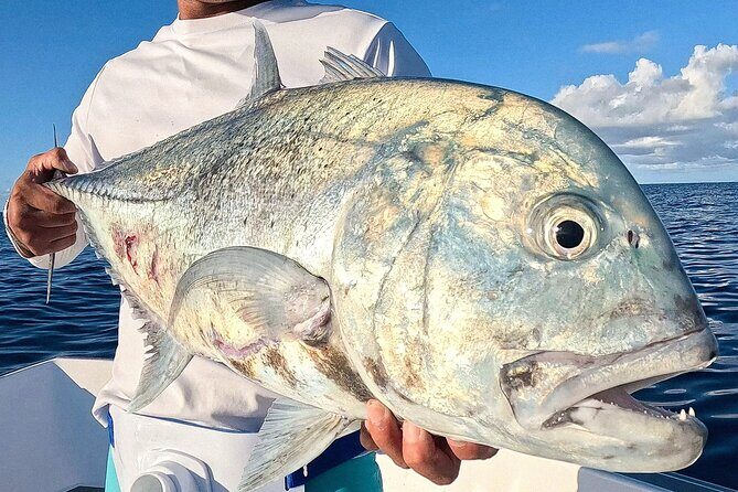 Unique in Raiatea: discover the lagoon, fish, cook, enjoy! - What the Reviews Say