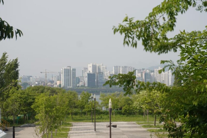 Unique Native Experience : Han River Picnic, Board game, BBQ - Key Points