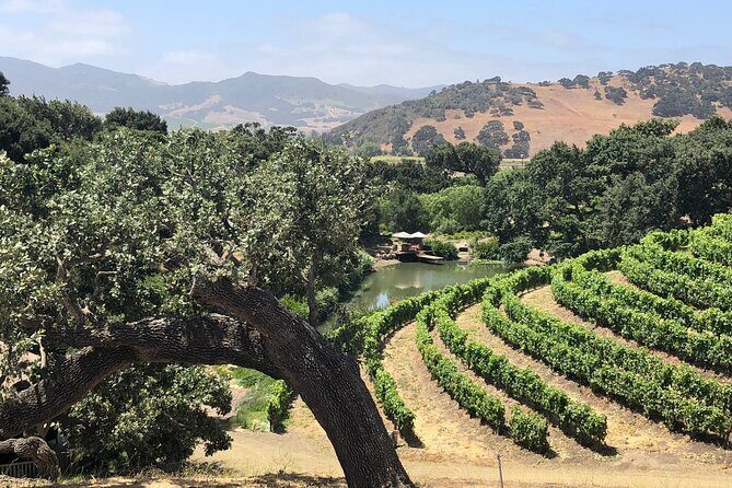 Unique Santa Barbara Wine Country Private Wine Tours and Tastings - Who Will Love This Tour?