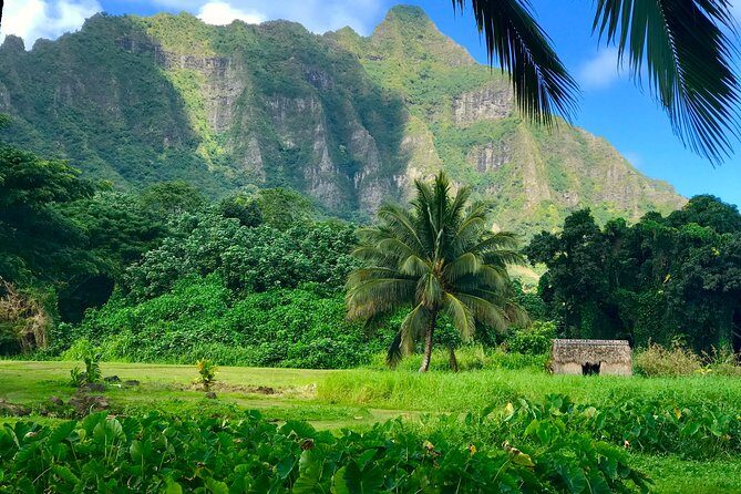 Uniquely Personalized Private Island Tour on Oahu, Hawaii - An In-Depth Look at the Oahu Private Tour
