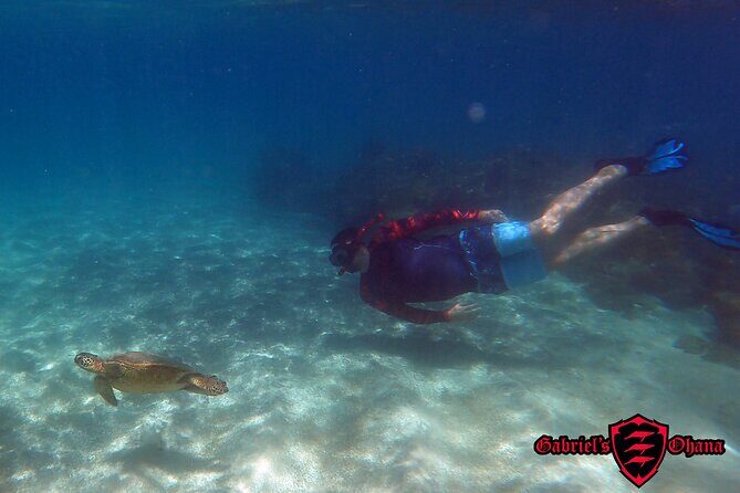 Unlimited Guided Kayaking and Snorkeling Tour-Olowalu - Exploring the Unlimited Guided Kayaking and Snorkeling Tour at Olowalu