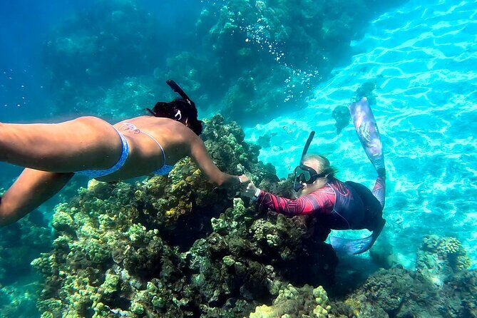 Unlimited Guided Snorkeling Tour for Beginners Plus - Price and Value