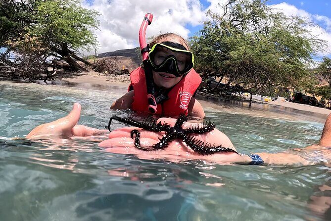 Unlimited Guided Snorkeling Tour for Beginners Plus - The Sum Up