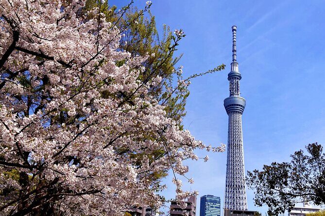 Unlock Hidden Tokyo: Private Custom Tour with a Local guide - Who Is This Tour Best For?