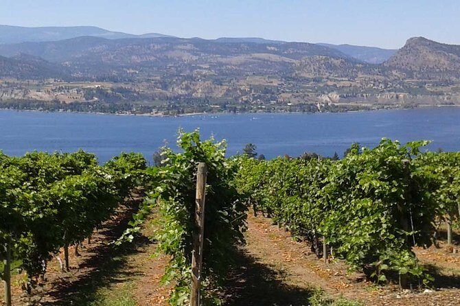 Unmatched Private Wine Tours for Up to 11 in Kelowna Area - The Bottom Line: Who Should Book This Tour?