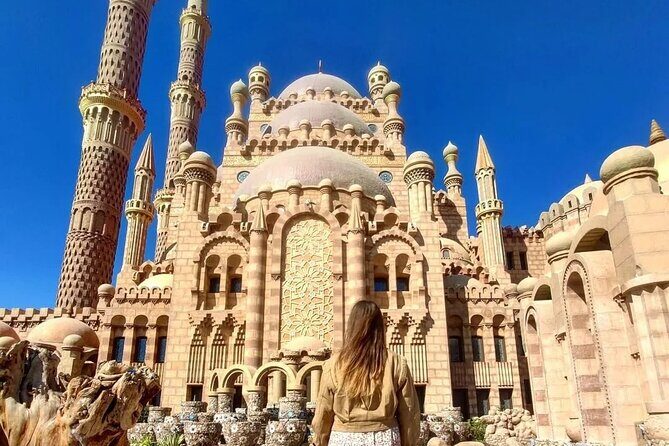 Unseen Sharm El Sheikh City Tour 4 attractions & Egyptian Dinner "Optional" - Who Should Consider This Tour?