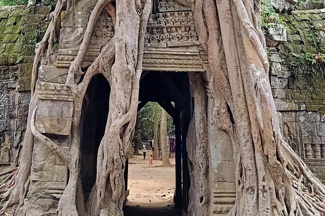 Unveiling 2 Days Private Angkor Wat/Beyond In Sunrise/Sunset Tour - What Do the Reviews Say?