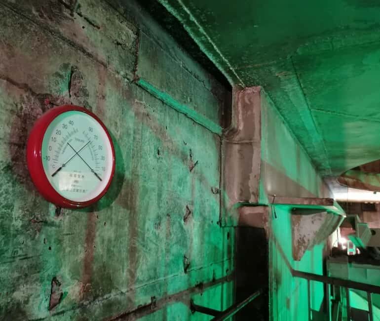 Unveiling Chongqing's Subterranean Wonders - The Experience and Value