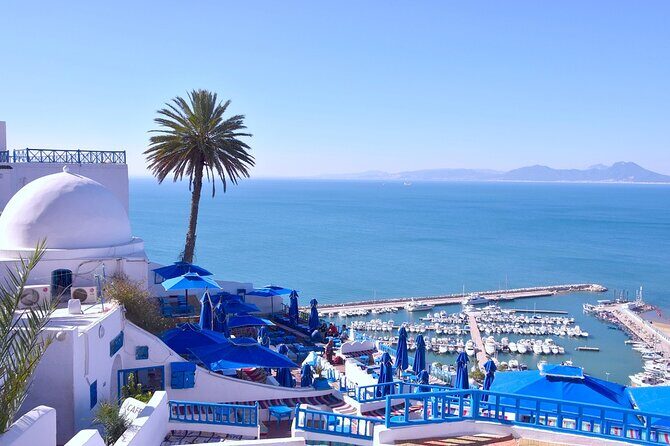 Unveiling the Beauty of Sidi Bou Said and Carthage Private Tour - Key Points