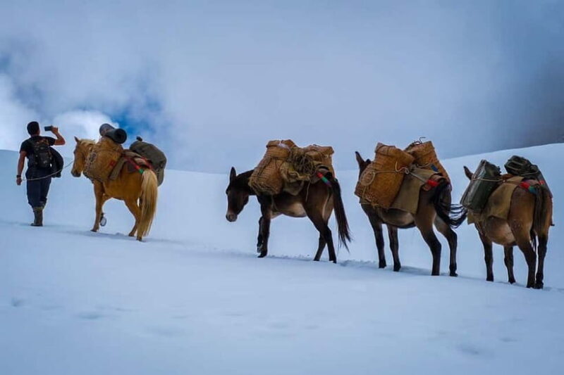 "Unveiling the Himalayas: 12-Day Jomolhari Trek Adventure" - Key Points
