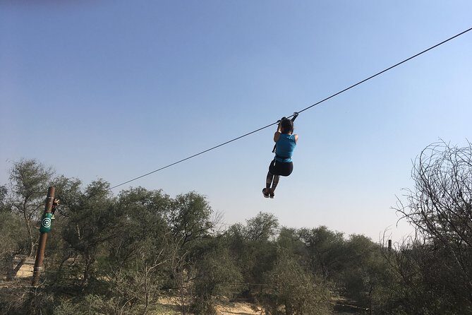 Up to 4 Hour Admission on our Ziplines and Ropes Courses. - What the Reviews Tell Us