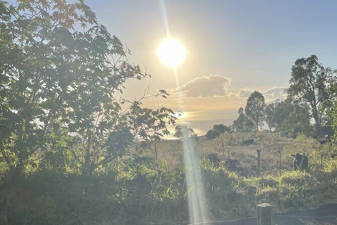 Upcountry Sunset Tour - Value and Practicality