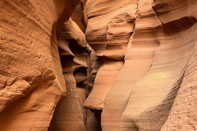 Upper Antelope Slot Canyon Tour - The Sum Up: Who Is This Tour Perfect For?