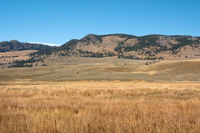 Upper Loop Tour and Lamar Valley from West Yellowstone with Lunch - An In-Depth Look at the Yellowstone Upper Loop and Lamar Valley Tour